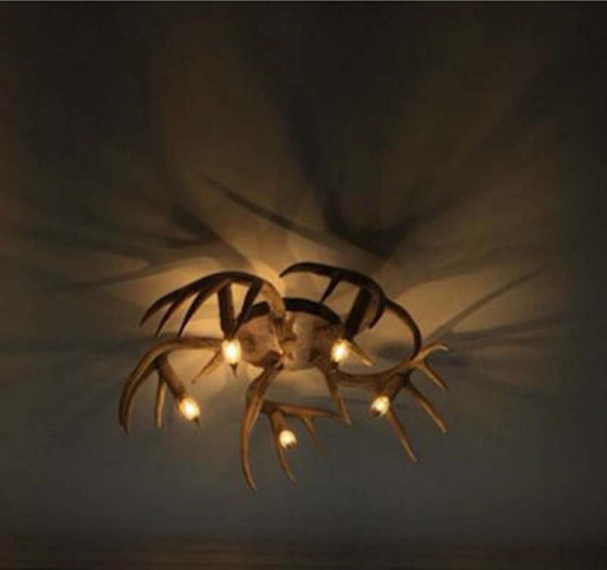 Kroonluchter van hertengewei - Kroonluchters - Hanglampen - Online shop