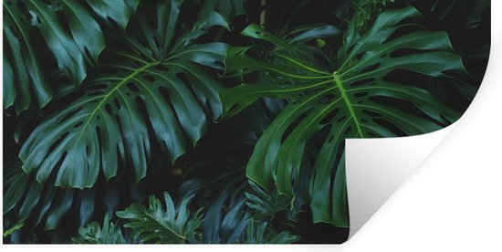 Stickers muraux - Jungle - Feuilles - Design - 40x20 cm - Film Adhésif