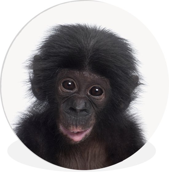 Wall Circle - Wall Circle Indoor - Chimpanzé - Animaux - Rose - ⌀ 60 cm - Décoration murale - Peintures Ronds