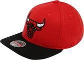 Mitchell & Ness pet Wit-One-Size (55-60)