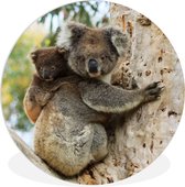 WallCircle - Wandcirkel ⌀ 140 - Koala's - Kind - Boom - Kinderen - Jongens - Meiden - Ronde schilderijen woonkamer - Wandbord rond - Muurdecoratie cirkel - Kamer decoratie binnen - Wanddecoratie muurcirkel - Woonaccessoires