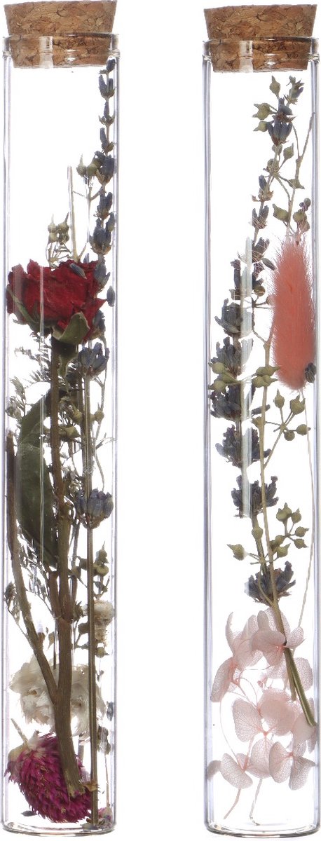 Goedkoopste Glazen buis met 2 diverse droogbloemen Ø3cm. H 20cm - 12 st