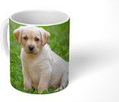 Mok - Puppy zit in het gras - 350 ML - Beker