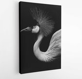 Canvas schilderij - Beautiful flamingo closed up shot illuminated by sunlight with dark - black background. Black & white image. -  1090822952 - 115*75 Vertical
