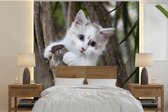 Behang - Fotobehang Witte Ragdoll kitten in een tak - Breedte 240 cm x hoogte 240 cm
