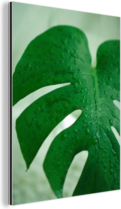 Botanische print druppels op een blad Aluminium 40x60 cm - Foto print op Aluminium (metaal wanddecoratie)