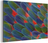 Wanddecoratie Metaal - Aluminium Schilderij Industrieel - Detail veren papegaai - 90x60 cm - Dibond - Foto op aluminium - Industriële muurdecoratie - Voor de woonkamer/slaapkamer