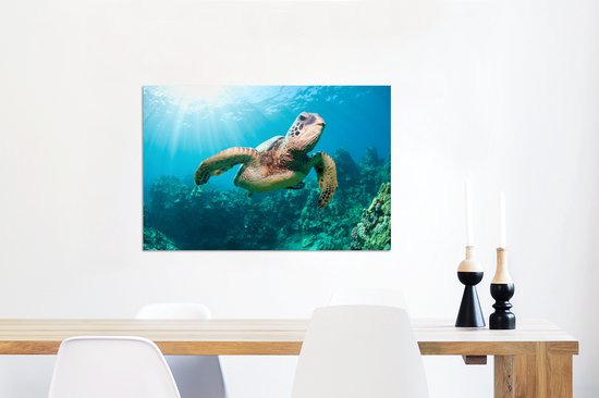 Tirage photo tortue de natation Aluminium 90x60 cm - Tirage photo sur aluminium (décoration murale en métal)