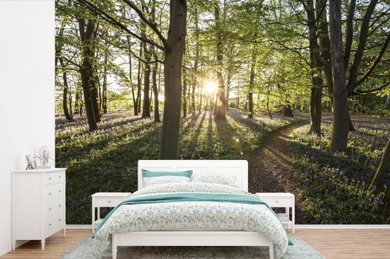 Papier peint - Papier peint photo Forêt - Arbre - Soleil - Largeur 600 cm x hauteur 400 cm