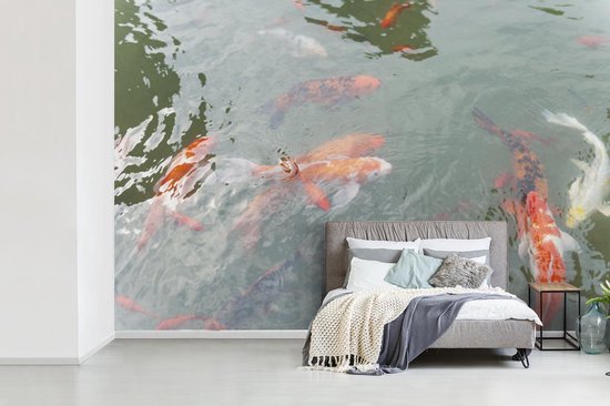 Papier peint Papier peint photo en vinyle - Un groupe de carpes koï dans un étang largeur 330 cm x hauteur 220 cm - Tirage photo sur papier peint (disponible en 7 tailles)