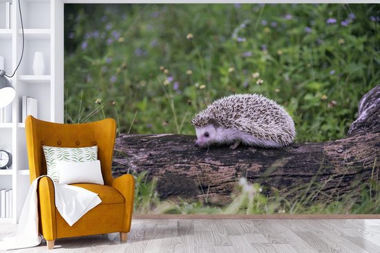 Papier peint photo peint photo vinyle - Hérisson sur souche d'arbre largeur 360 cm x hauteur 240 cm - Tirage photo sur papier peint (disponible en 7 tailles)