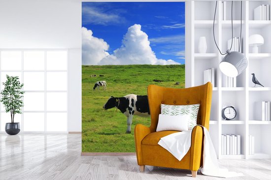 Veaux Zwart et blancs paissant dans la prairie 155x240 cm