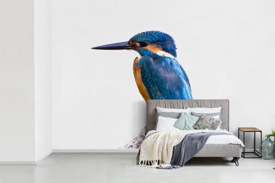 Behang - Fotobehang IJsvogel - Veren - Tak - Blauw - Breedte 330 cm x hoogte 220 cm - Nr1Wallpaper