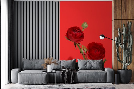 Papier peint photo vinyle - Renoncules rouges sur fond rouge largeur 200 cm x hauteur 300 cm - Tirage photo sur papier peint (disponible en 7 tailles)