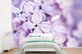 Behang - Fotobehang Close up van lavendel bloemen - Breedte 390 cm x hoogte 260 cm
