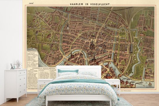 Foto: Behang fotobehang plattegrond antiek haarlem breedte 330 cm x hoogte 220 cm stadskaart