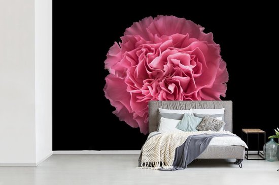 Papier peint photo peint photo vinyle - Oeillet rose sur fond noir largeur 360 cm x hauteur 240 cm - Tirage photo sur papier peint (disponible en 7 tailles)