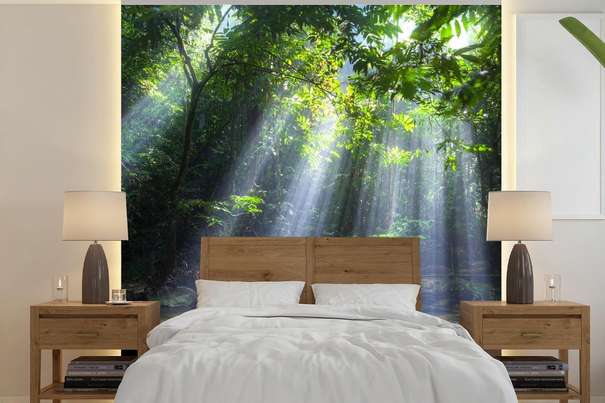 Behang - Fotobehang Zonnestralen dringen door de bomen het regenwoud in Maleisië binnen - Breedte 240 cm x hoogte 240 cm
