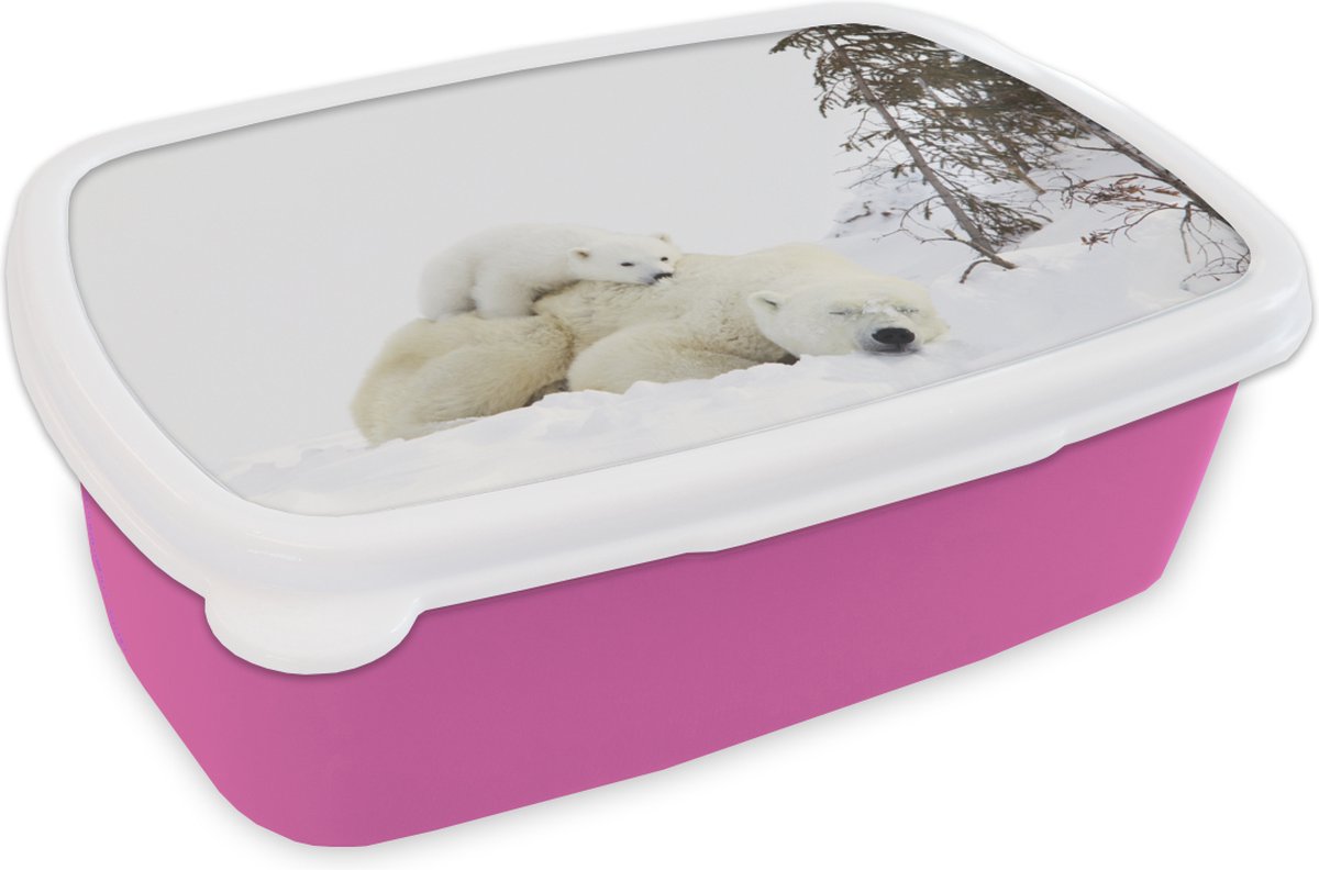 Broodtrommel Roze - Lunchbox - Brooddoos - IJsbeer - Sneeuw - Boom - 18x12x6 cm - Kinderen - Meisje