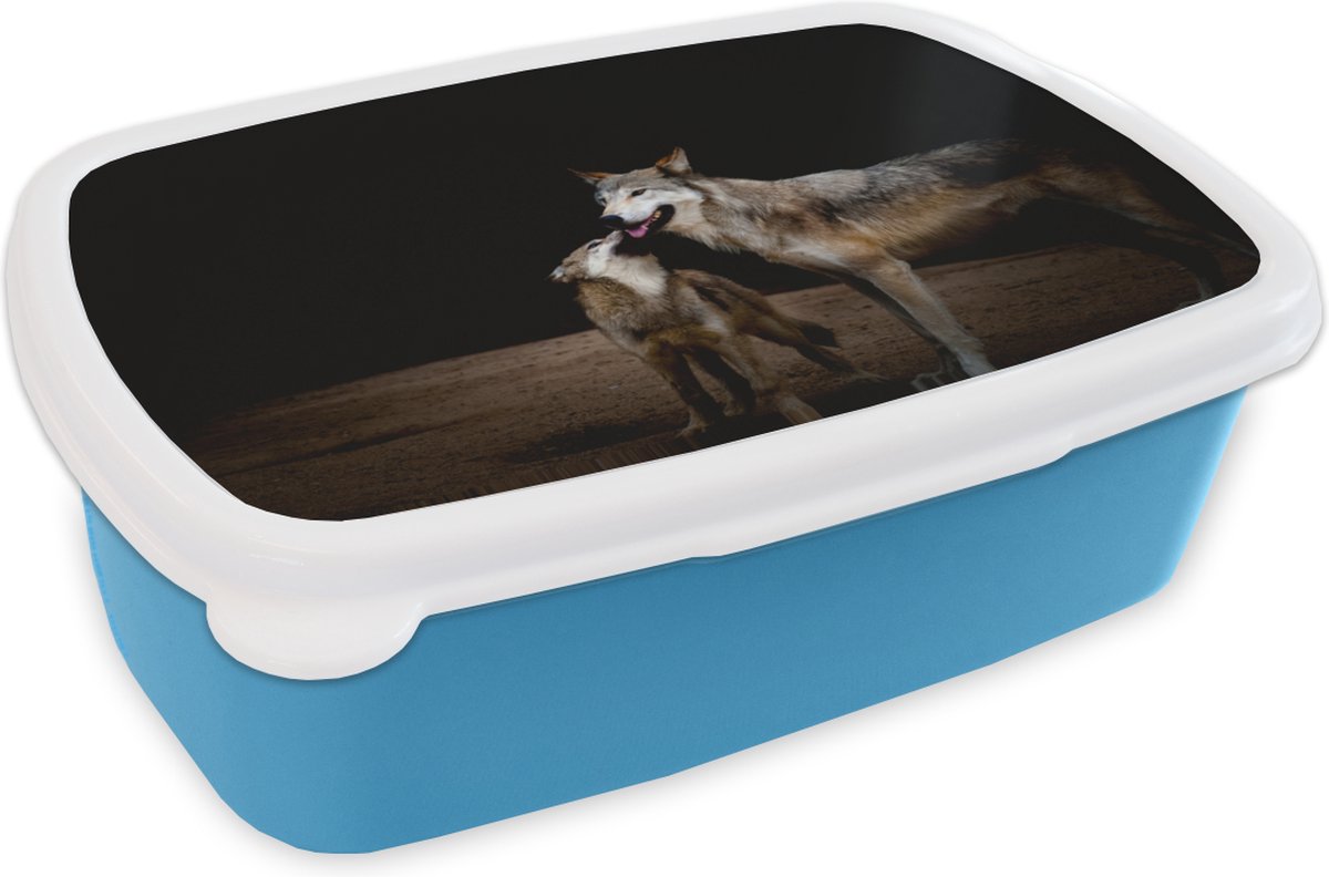 Broodtrommel Blauw - Lunchbox - Brooddoos - Moeder wolf met pup - 18x12x6 cm - Kinderen - Jongen