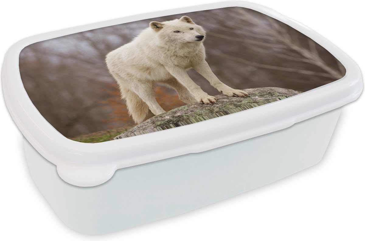 Broodtrommel Wit - Lunchbox - Brooddoos - Wolf - Steen - Wit - 18x12x6 cm - Volwassenen