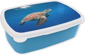 Broodtrommel Blauw - Lunchbox - Brooddoos - Schildpad in de oceaan - 18x12x6 cm - Kinderen - Jongen