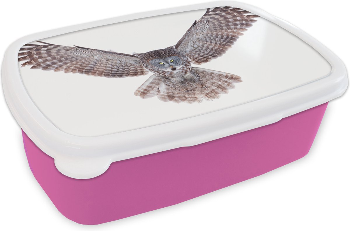 Broodtrommel Roze - Lunchbox - Brooddoos - Vliegende uil - 18x12x6 cm - Kinderen - Meisje