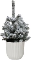 Picea sneeuw in ELHO ® Vibes Fold Rond (zijdewit) – ↨ 50cm – ⌀ 22cm