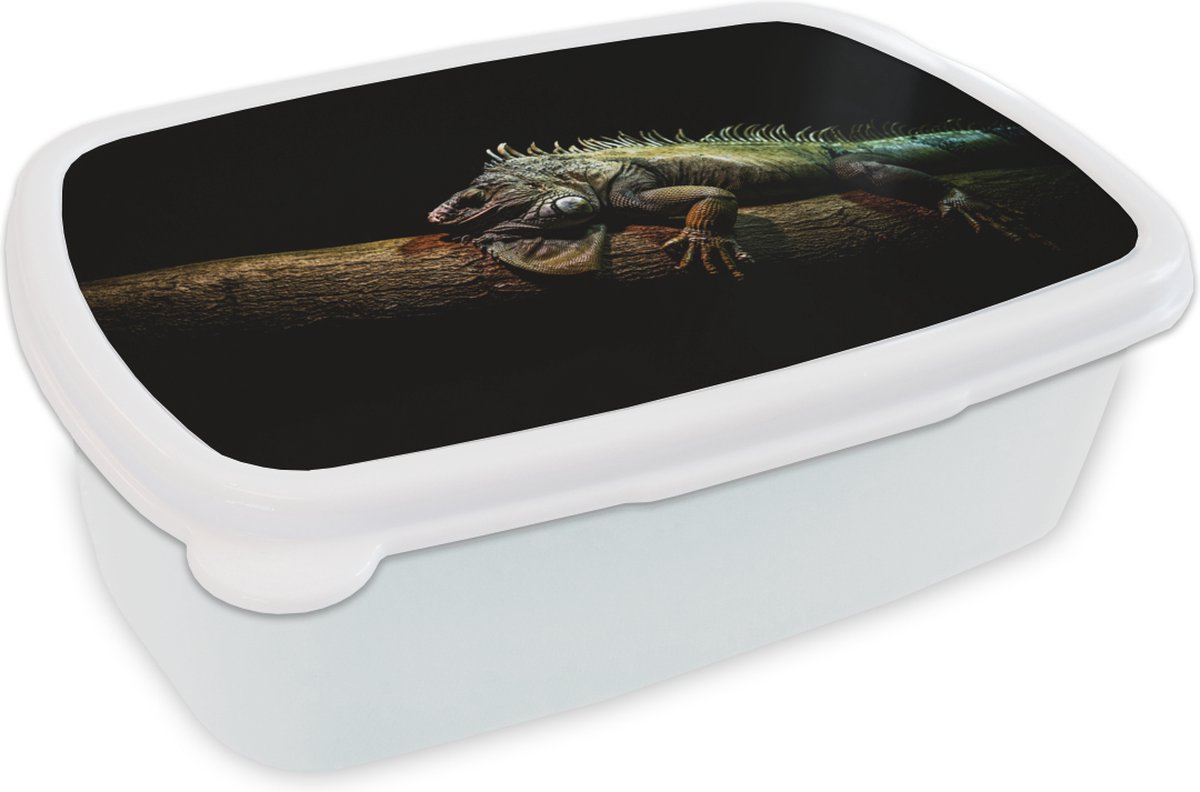 Broodtrommel Wit - Lunchbox - Brooddoos - Dier - Tak - Zwart - 18x12x6 cm - Volwassenen