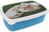 Broodtrommel Blauw - Lunchbox - Brooddoos - Dieren - Puppy's - Honden - 18x12x6 cm - Kinderen - Jongen