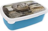 Broodtrommel Blauw - Lunchbox - Brooddoos - Otter - Steen - Water - 18x12x6 cm - Kinderen - Jongen