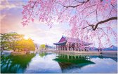 Kersenbloesem bij het paleis van Gyeongbokgung in Seoul - Foto op Forex - 60 x 40 cm