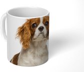 Mok - Schattige Cavalier King Charles-spaniël - 350 ML - Beker