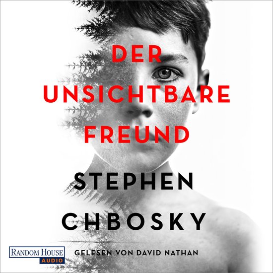 Der unsichtbare Freund - cover