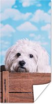 Poster Maltezer hond in een houten doos - 60x120 cm