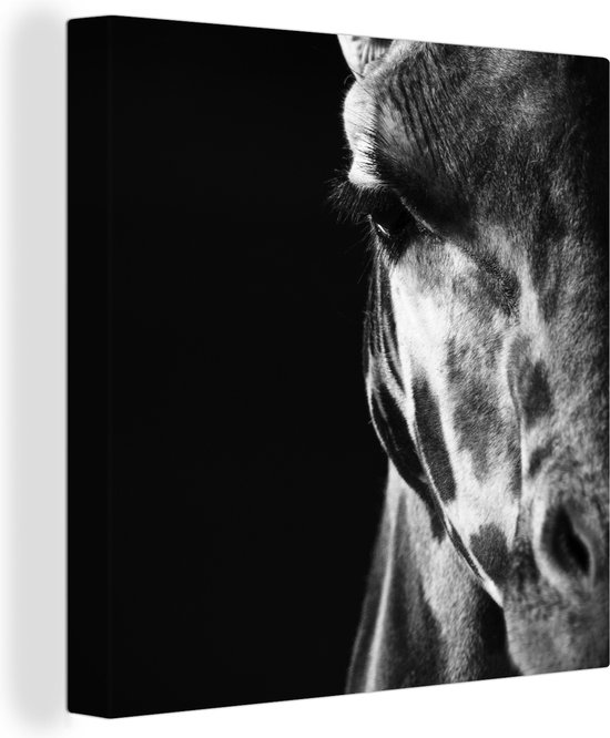 Tableau sur toile Profil animal girafe en noir et blanc - 50x50 cm - Décoration murale