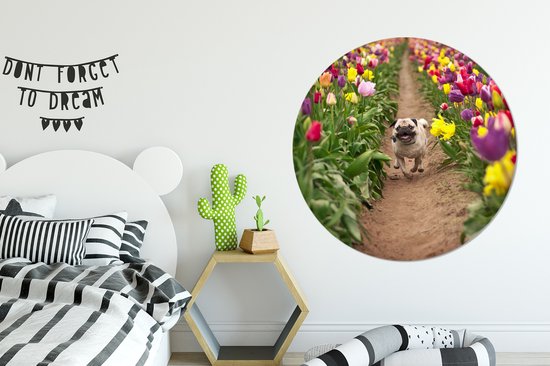 Chien courant dans un champ de tulipes Assiette en plastique cercle mural ⌀ 150 cm XXL / Groot format!