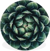 WallCircle - Wandcirkel ⌀ 30 - Een groene bloemdessin - Ronde schilderijen woonkamer - Wandbord rond - Muurdecoratie cirkel - Kamer decoratie binnen - Wanddecoratie muurcirkel - Woonaccessoires