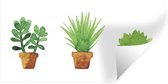 Muurstickers - Sticker Folie - Bloempot - Waterverf - Planten - 40x20 cm - Plakfolie - Muurstickers Kinderkamer - Zelfklevend Behang - Zelfklevend behangpapier - Stickerfolie