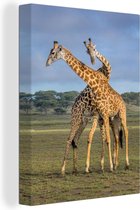 Jouer aux girafes Toile 40x60 cm - Tirage photo sur toile (Décoration murale salon / chambre) / Peintures sur toile Animaux