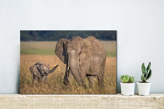 Mère éléphant et veau 30x20 cm - petit - Tirage photo sur toile peinture (Décoration murale salon / chambre) / animaux sauvages Peintures sur toile