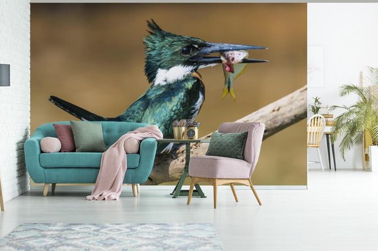 Papier peint Papier peint photo en vinyle - Martin-pêcheur en gros plan avec une proie largeur 360 cm x hauteur 240 cm - Tirage photo sur papier peint (disponible en 7 tailles)