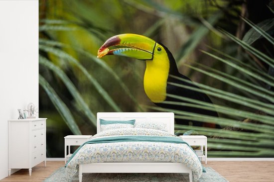 Papier peint Papier peint photo en vinyle - Toucan coloré avec un point rouge sur le bec largeur 450 cm x hauteur 300 cm - Tirage photo sur papier peint (disponible en 7 tailles)