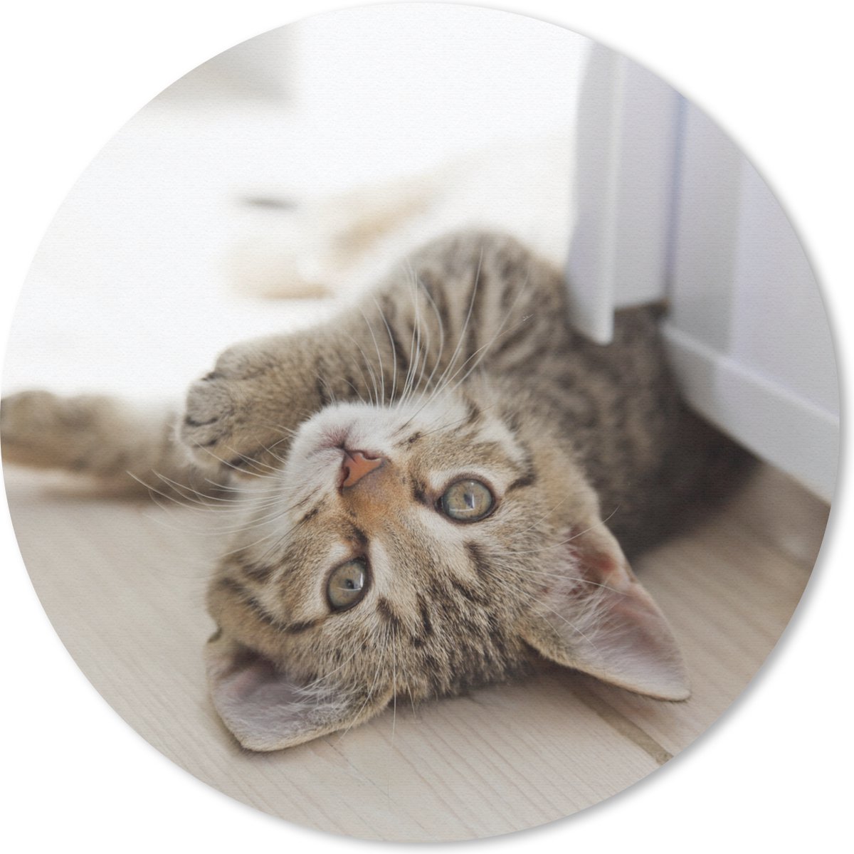 Muismat rond 20x20 cm - Mousepad Kitten - Zon - Bruin - Meisjes - Kinderen - Jongens - Kindje - Ronde muismatten