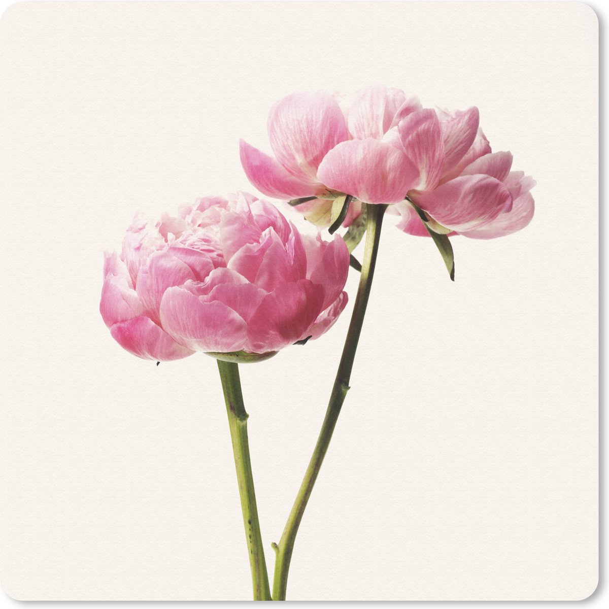 Muismat 30x30 cm - Mousepad Bloemen - Bloesem - Roze - Muismatten