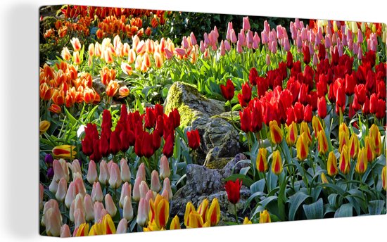 Canvas Schilderij Gekleurde tulpen in de Keukenhof in Nederland - 40x20 cm - Wanddecoratie