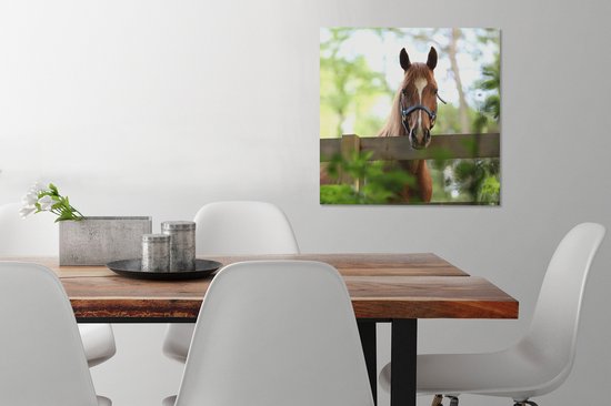 Tableau sur toile Cheval - Nature - Clôture - 50x50 cm - Décoration murale