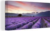 Canvas Schilderij Een prachtig lavendelveld bij zonsondergang - 40x20 cm - Wanddecoratie