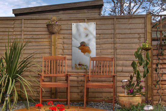 Affiche jardin Neige - Robin - Branche - 30x60 cm