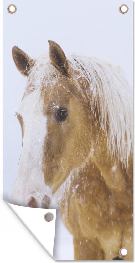 DEKADRON Art Mural En Métal Chevaux, Art De Cheval En Métal, Tête De Cheval, Décoration Murale De Cheval (46 X 43 Cm